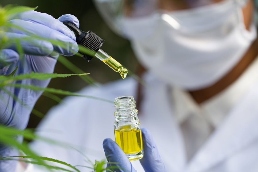 Zoom sur ces études scientifiques en faveur du CBD